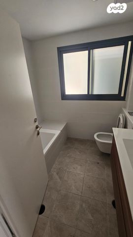 פנחס רוטנברג 