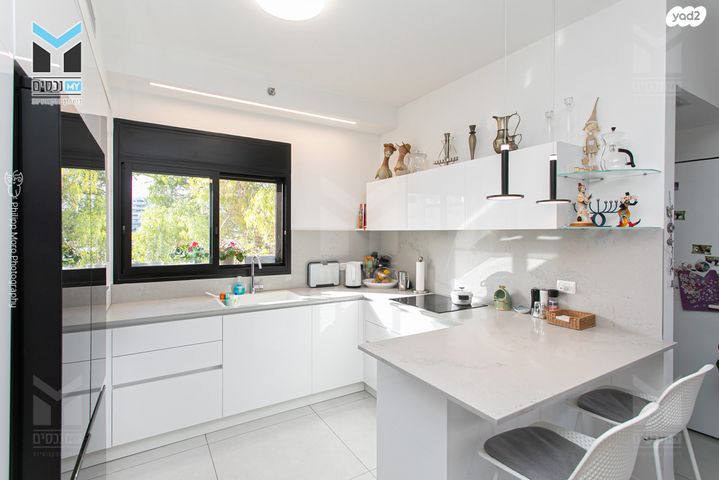 דירה, ויתקין, אחוזה, חיפה