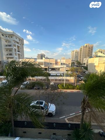 דוד וולפסון 