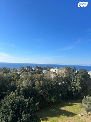 דירה, ז'אן ז'ורס, קרית שפרינצק, חיפה