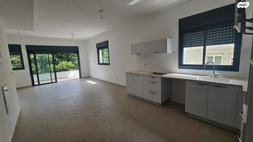 פנחס רוטנברג 