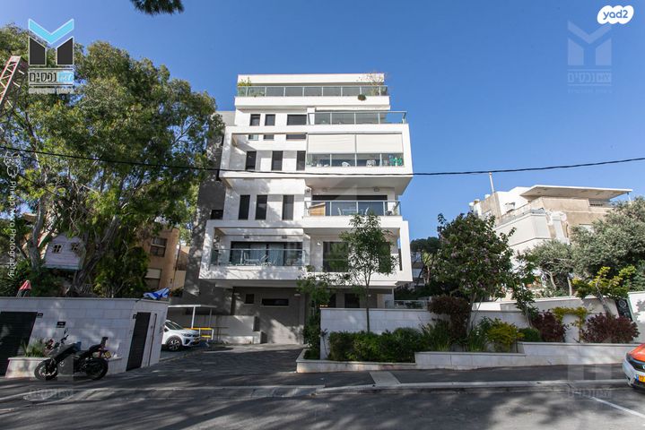 ויתקין 11