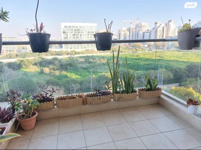 דירה, הזיתים, רמת הדקלים, גבעת שמואל