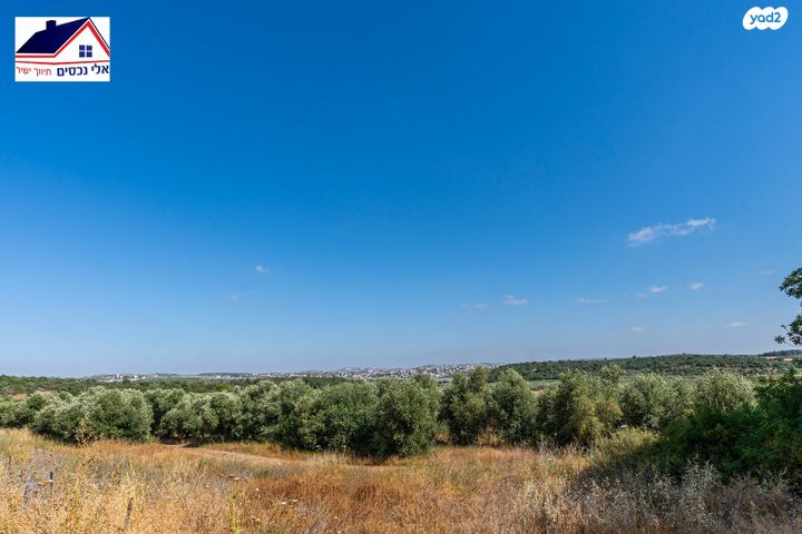 דירת גן, הקהילה 15, בצוותא, חריש