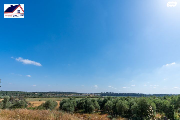 דירת גן, הקהילה 15, בצוותא, חריש