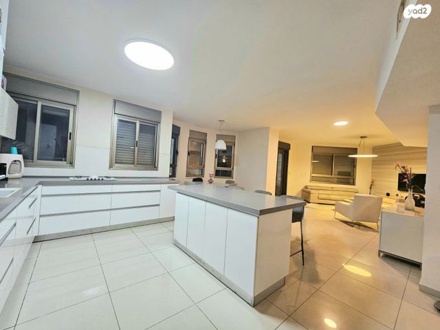 גג/ פנטהאוז, שושנה דמארי 3, קרית האמנים, מצליח, רמלה