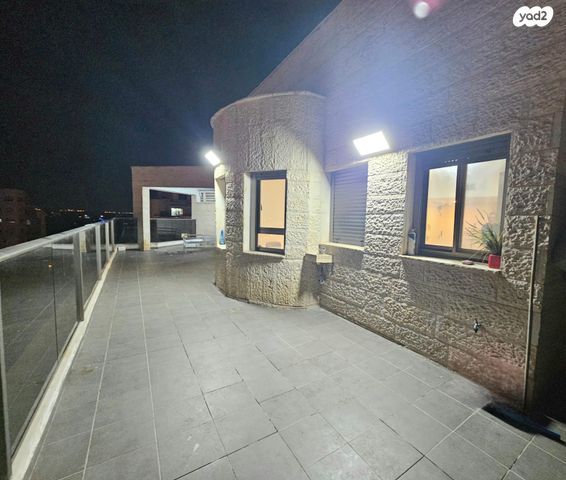 גג/ פנטהאוז, שושנה דמארי 3, קרית האמנים, מצליח, רמלה