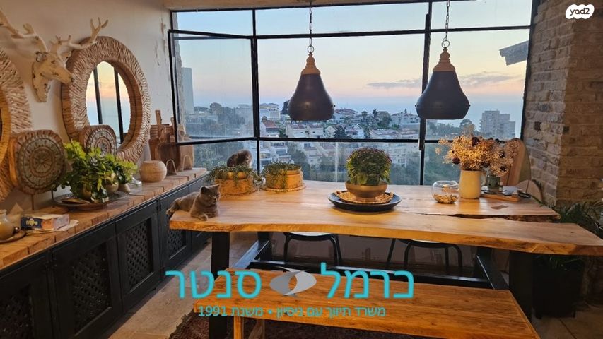 דירה, רמת אשכול, חיפה