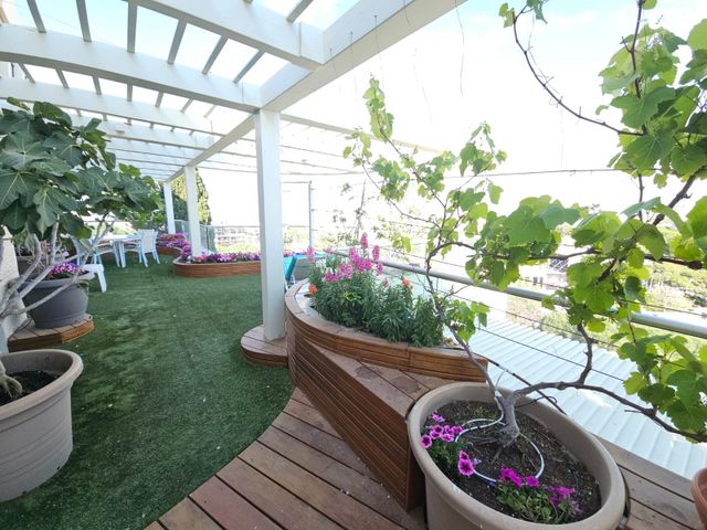 גג/ פנטהאוז, חיפה