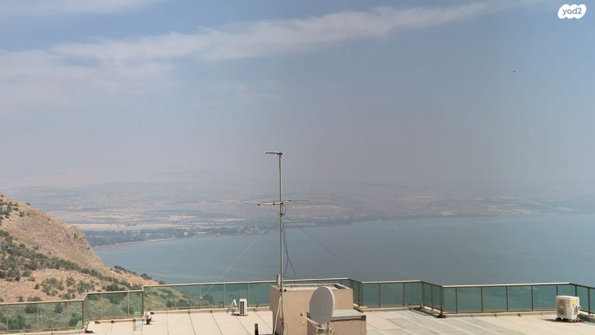 גולדה מאיר 