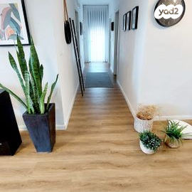 דירה, קדימה צורן