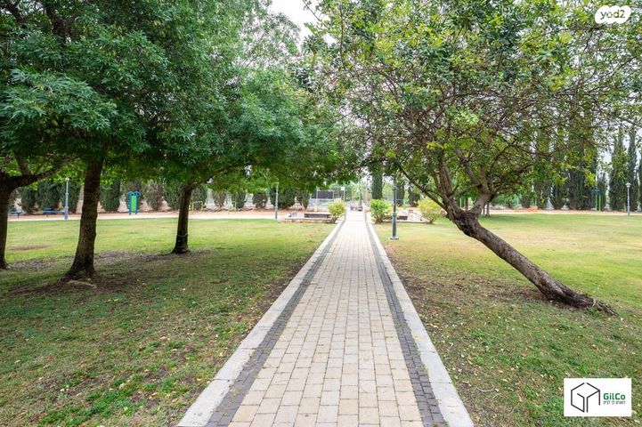 דירה, חלומות זכרון, זכרון יעקב