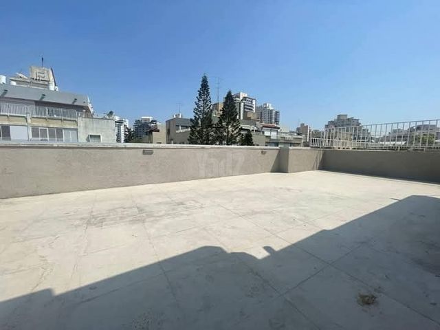 דוד אלעזר 