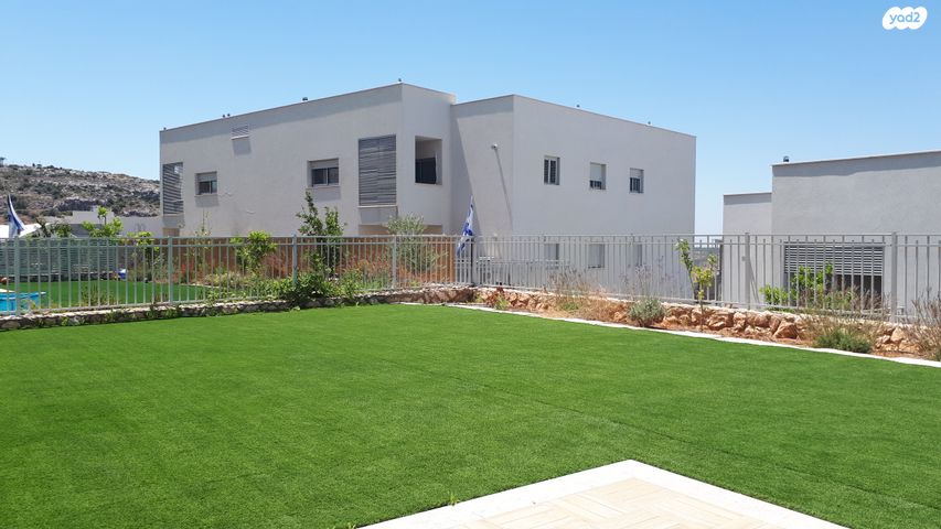 ברוש 41
