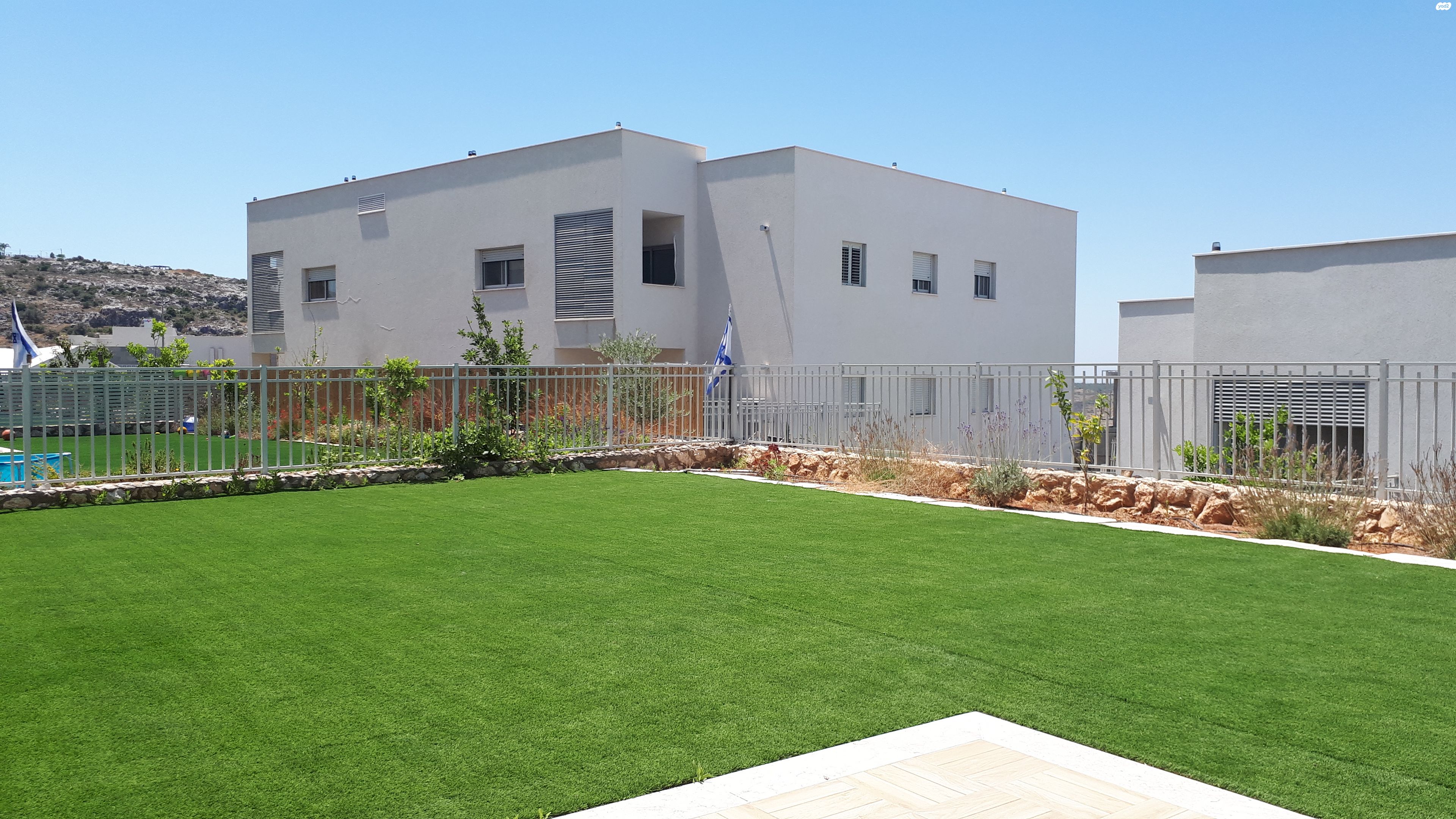 ברוש 41