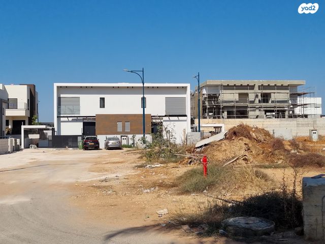 הדרור 55