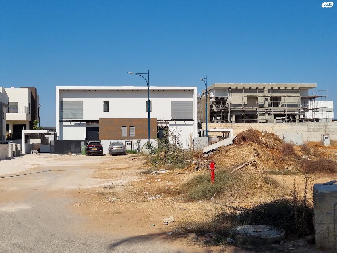 הדרור 55