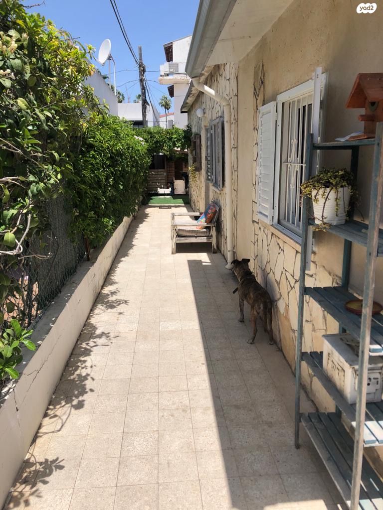 שביל הדמומית 11