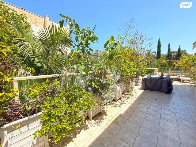 שמואל תמיר 9