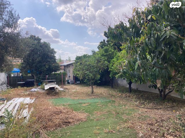 מגרשים, חבצלת, רחובות