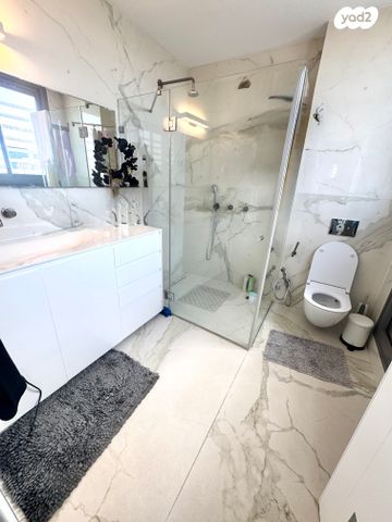 גג/ פנטהאוז, יפה נוף, בורוכוב, גבעתיים