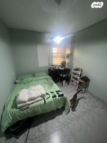 דירה, טירת כרמל