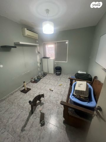 דירה, טירת כרמל