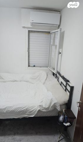 אפרים צור 53