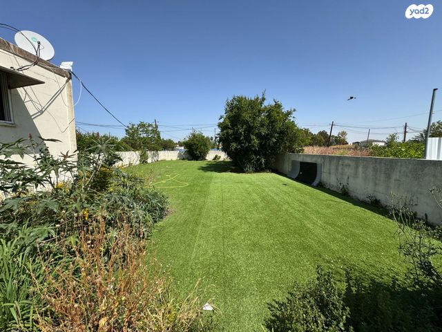 עזרא ונחמיה 8