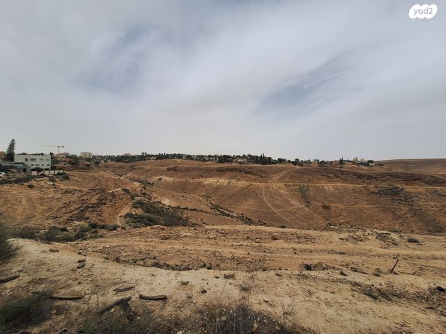 דו משפחתי