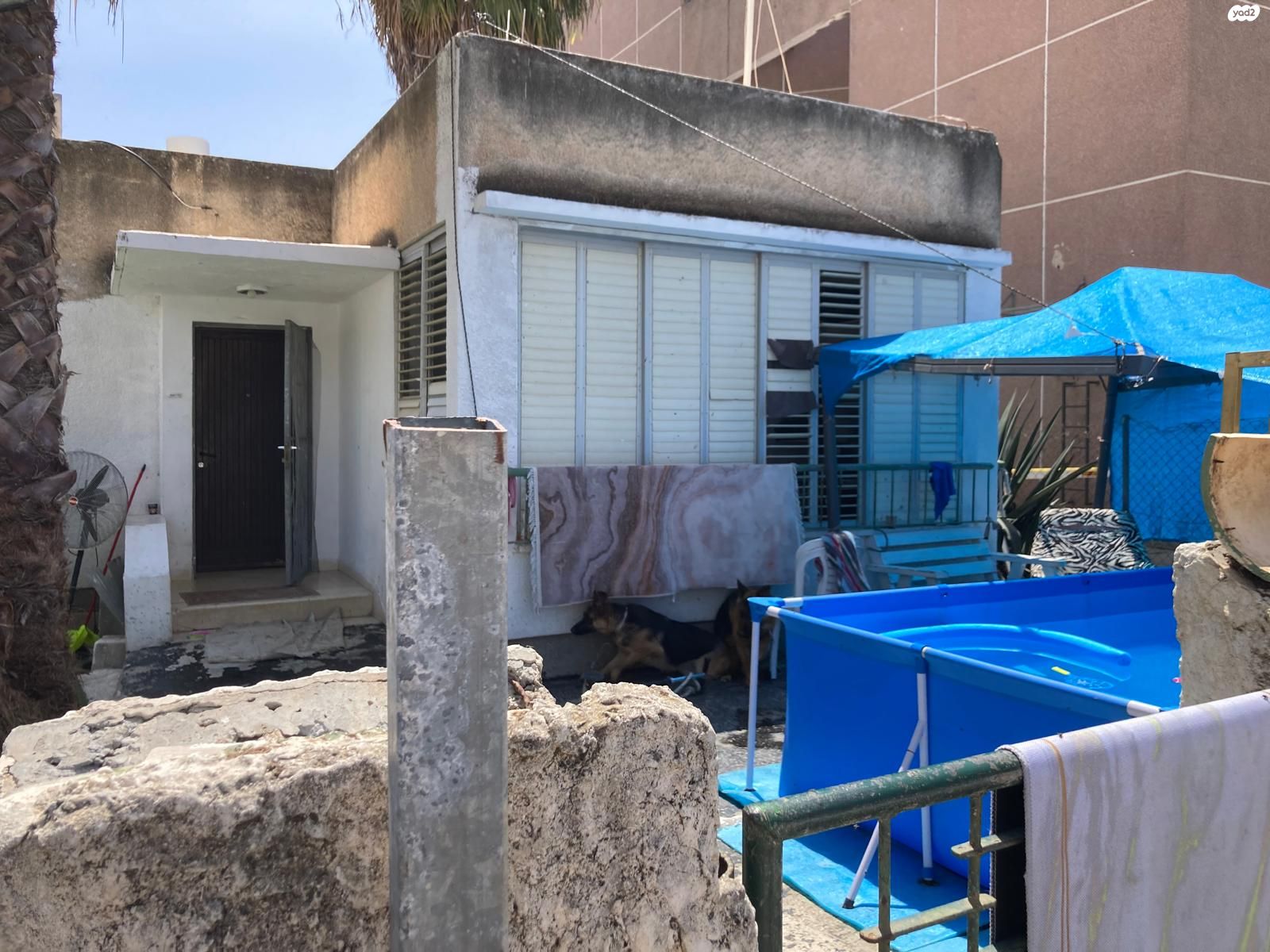 יהושע חנקין 34