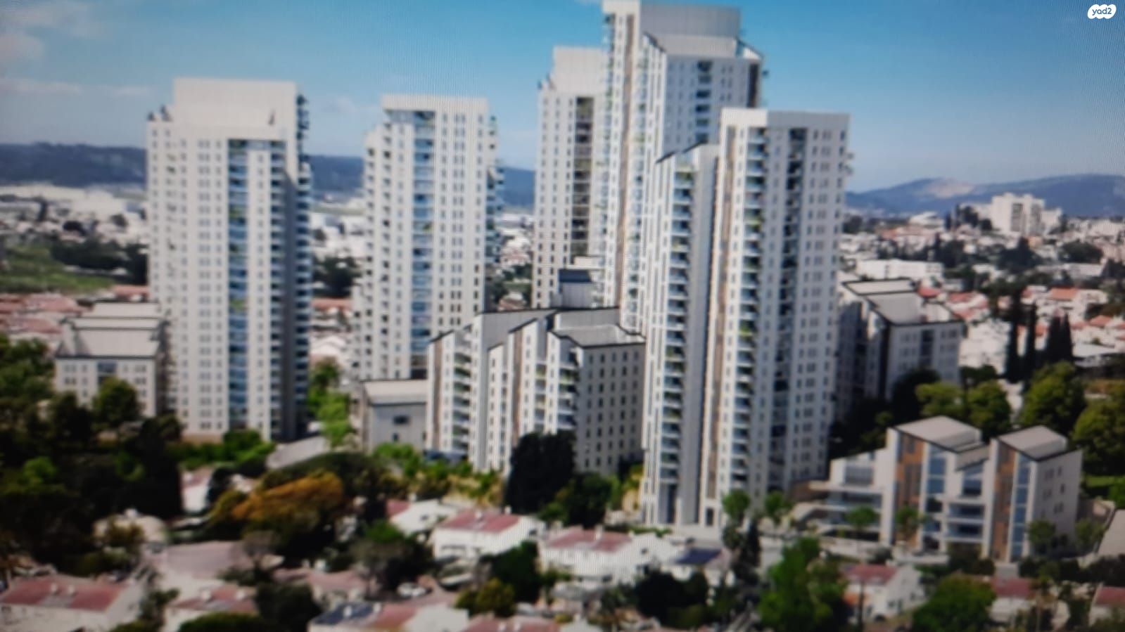 הנרקיס 30