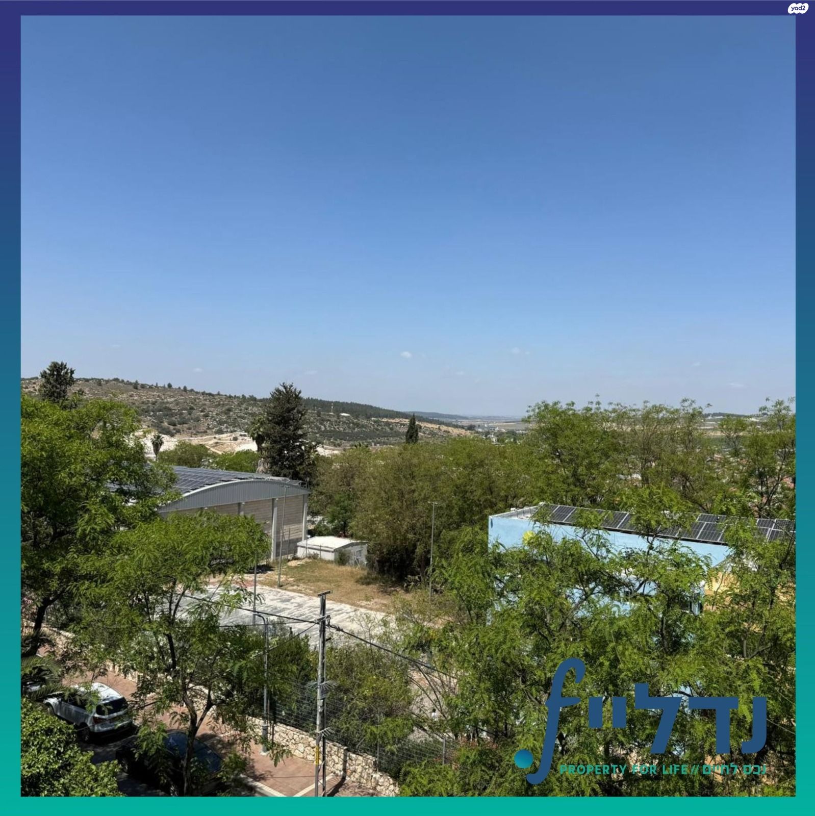 הנורית 44