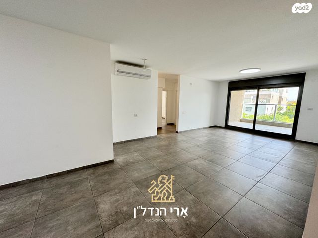 שחף 