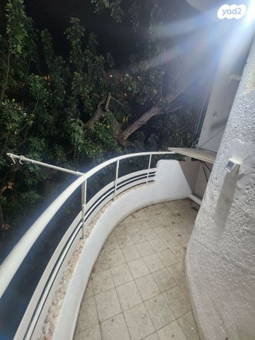 דירה, כינרת, חיפה