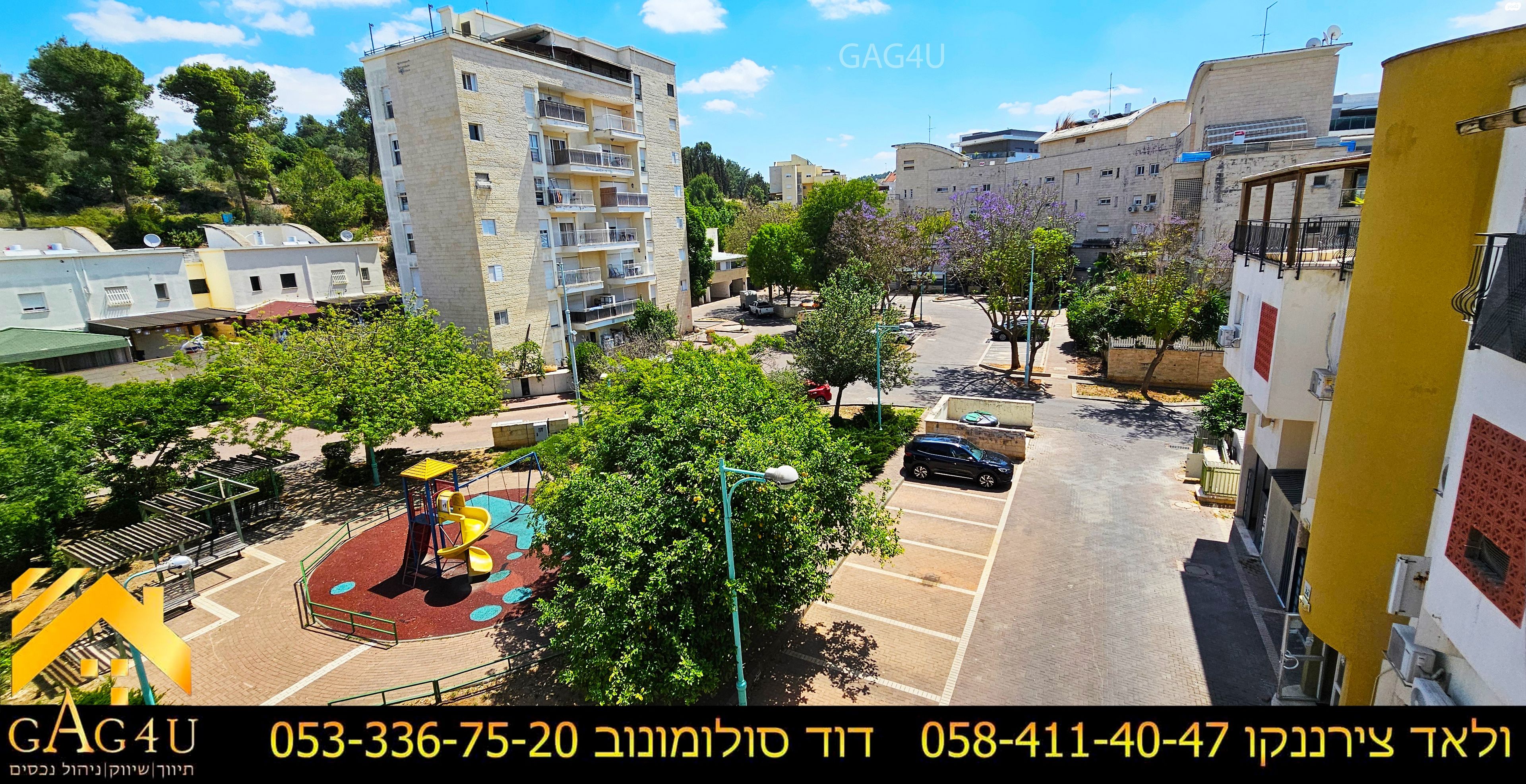 נחל הצבי 