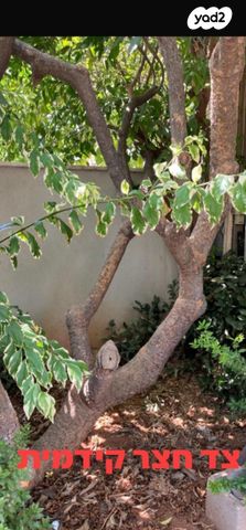 קיבוץ גלויות 