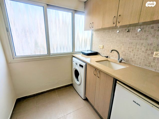 דב גאפונוב 4