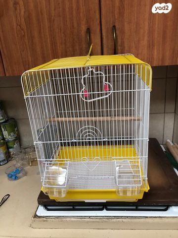 תמונת מודעה - חיות מחמד