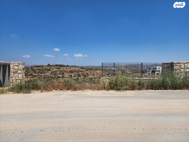שדרות נווה דקלים 1