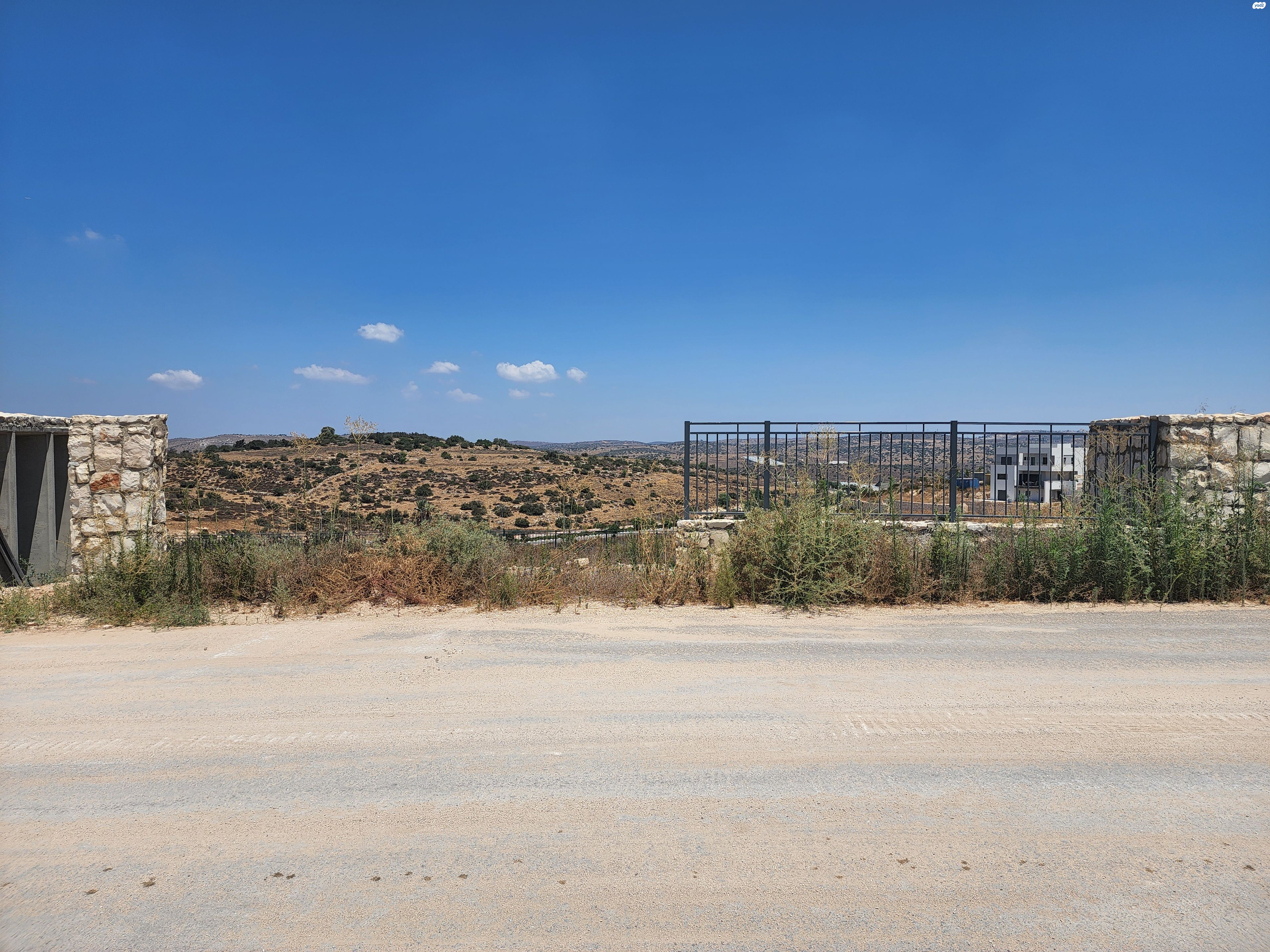 שדרות נווה דקלים 1