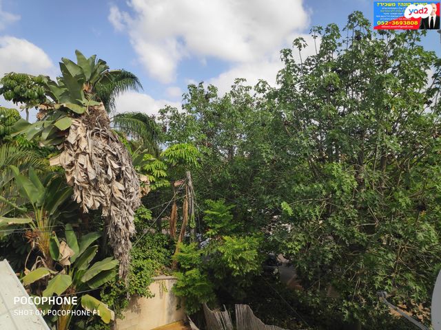 דירת גן, קפלן, הותיקה, קרית אונו