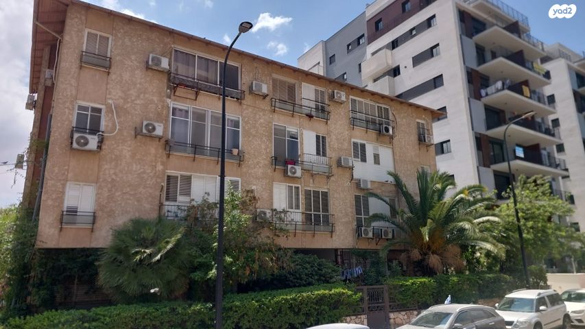 אהרון אייזנברג 