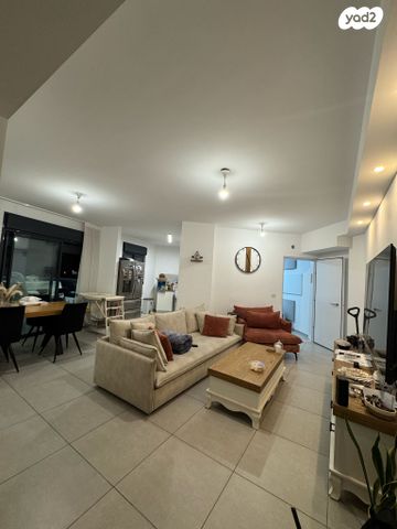 שדרות ציונה צרפת 