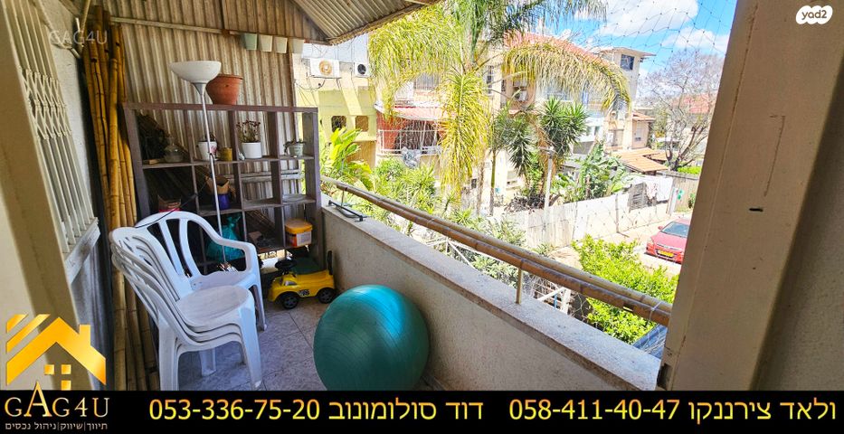 הנורית 