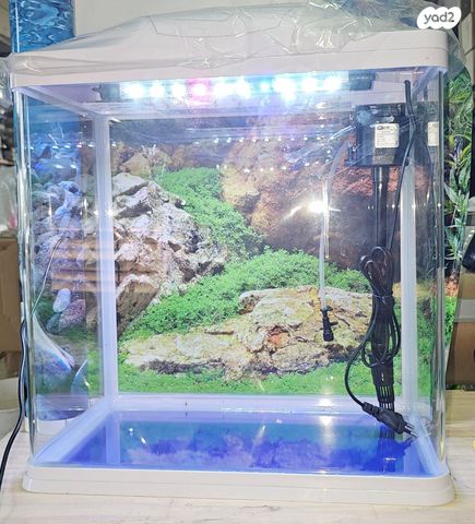 תמונת מודעה - חיות מחמד