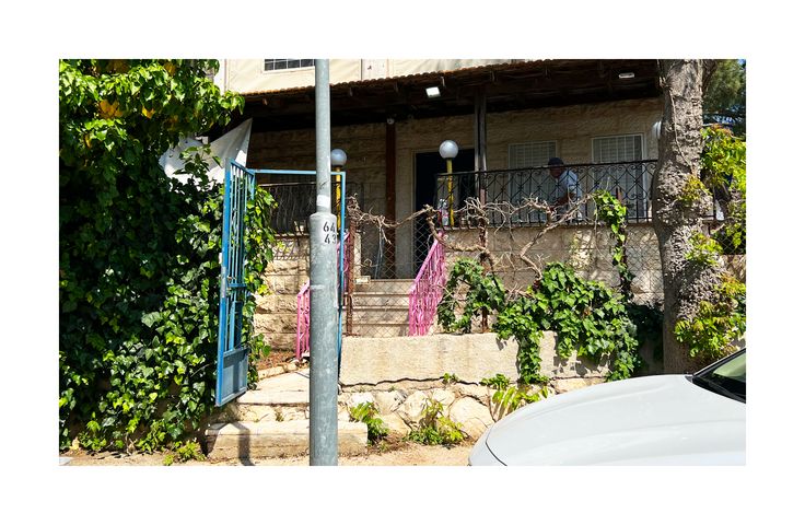 ניקנור 219