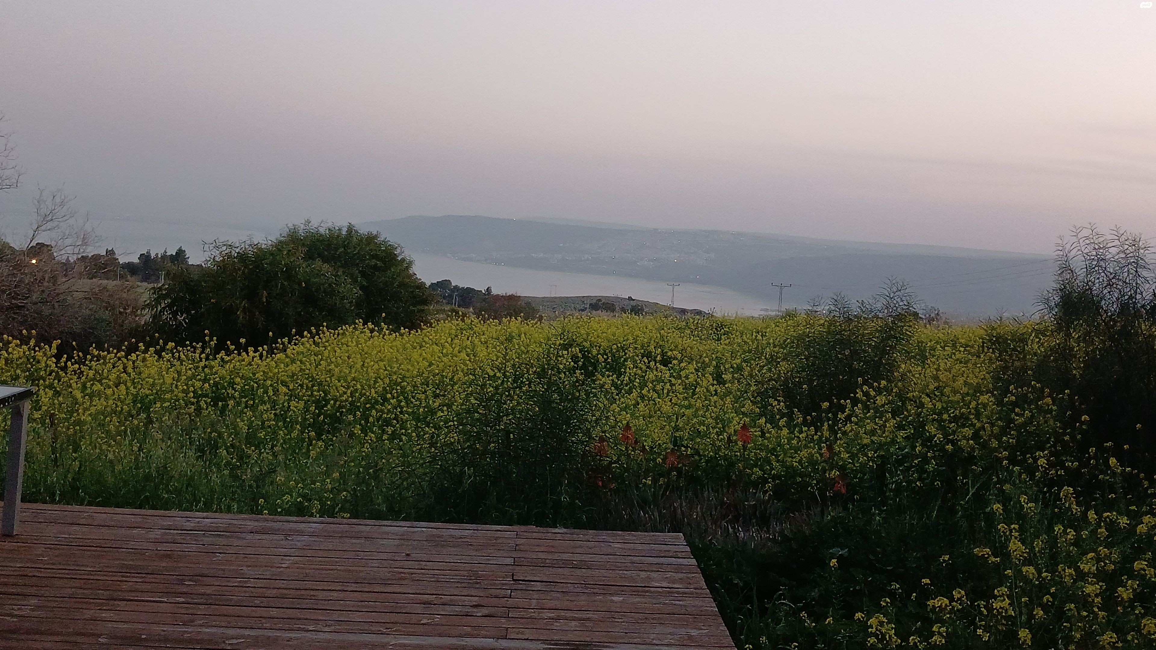 שיאון 4