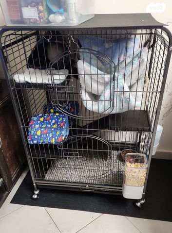 אביזרים | כלוב