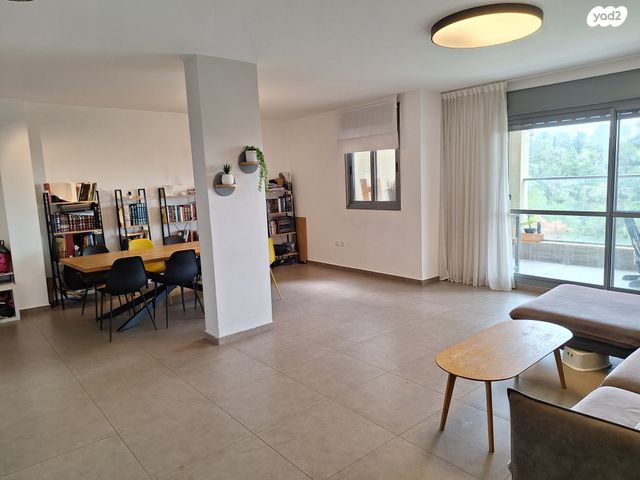 אורן 42